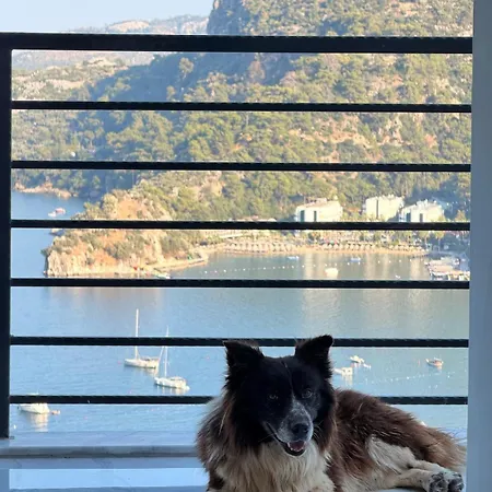 Apartmán Serena Luxury Sea View *